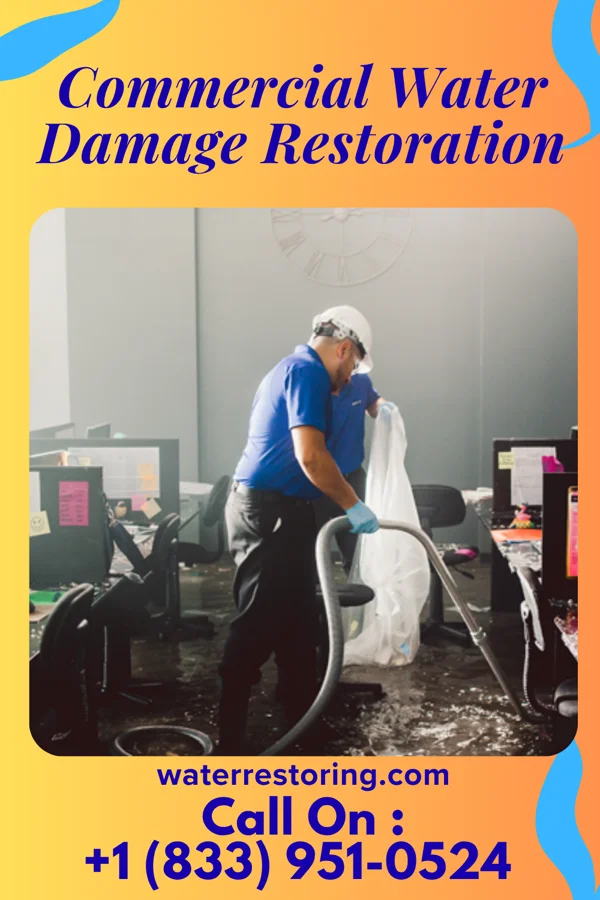 Commercial Water Damage Restoration in Merrillan, WI