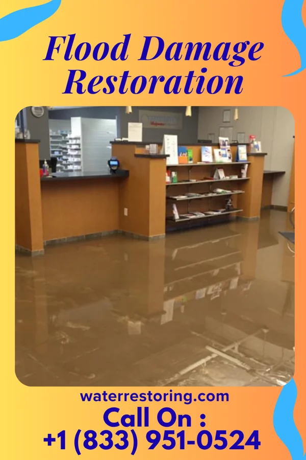 Flood Damage Restoration in Merrillan, WI