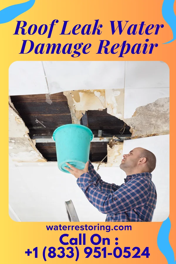 Roof Leak Water Damage Repair in Merrillan, WI