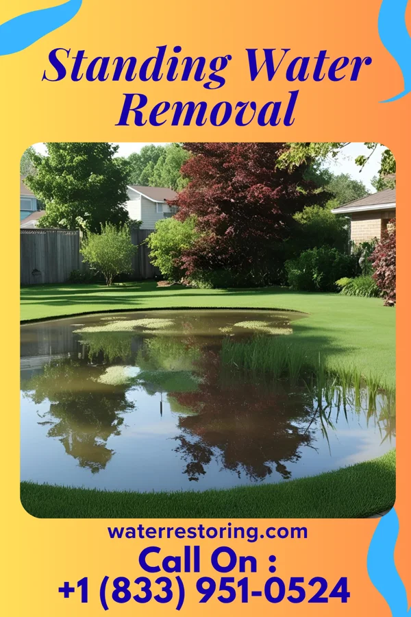 Standing Water Removal in Merrillan, WI